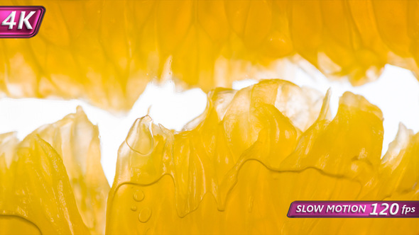 Crush Two Juicy Orange Lobule alt