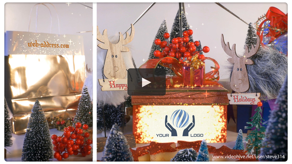 Merry Christmas! - VideoHive 22823636