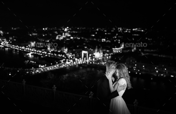 Lovely bride and groom on a background of Budapest - Stock Photo - Images