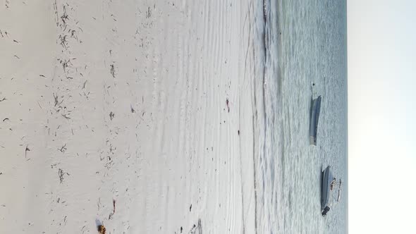 Zanzibar Tanzania  Vertical Video of Low Tide in the Ocean Near the Coast Slow Motion alt