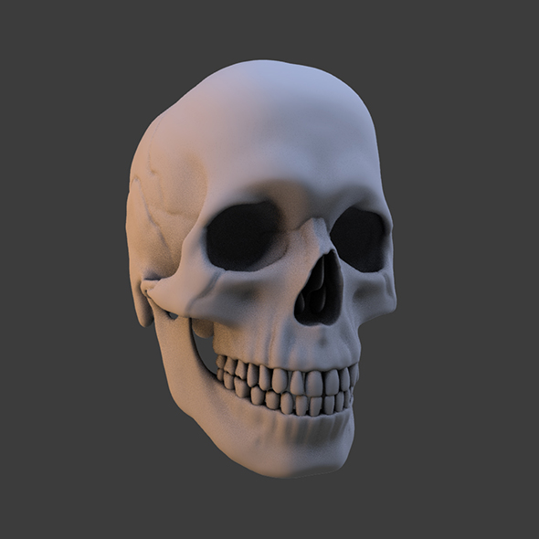 High Poly Skull - 3Docean 22833500