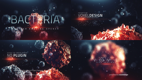 The Bacteria Infection - VideoHive 22834501