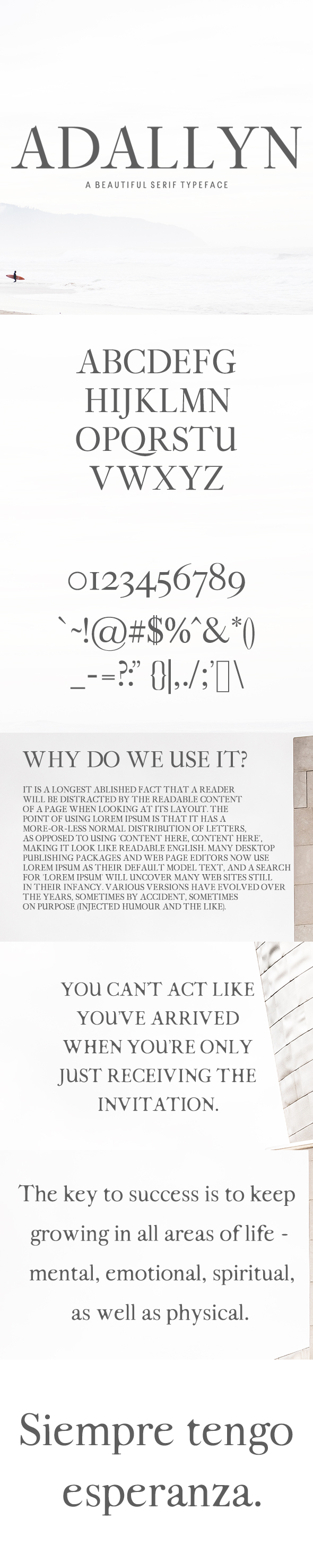 Adallyn Serif Font Family Pack - Serif Fonts