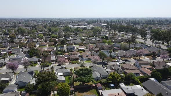 Aerial View of Middle Class Neighborhood with Blue Sky in Los Angeles County California alt