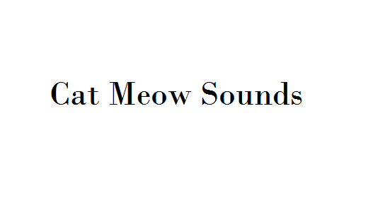 Cat Meow Sounds