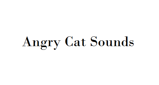 Angry Cat Sounds