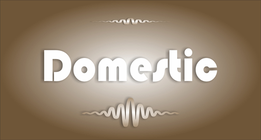 Domestic Sounds