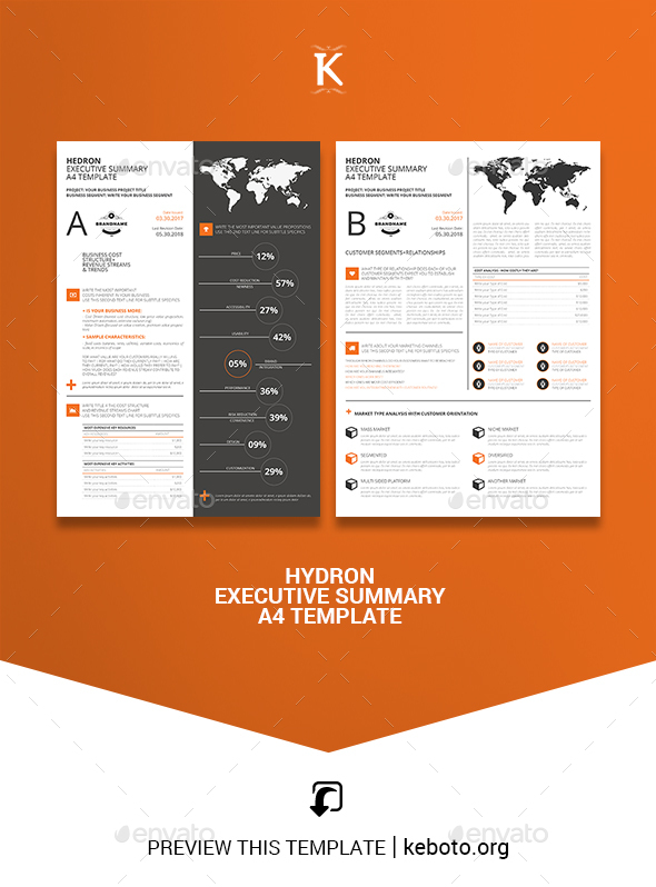 Hedron Executive Summary A4 Template - Miscellaneous Print Templates