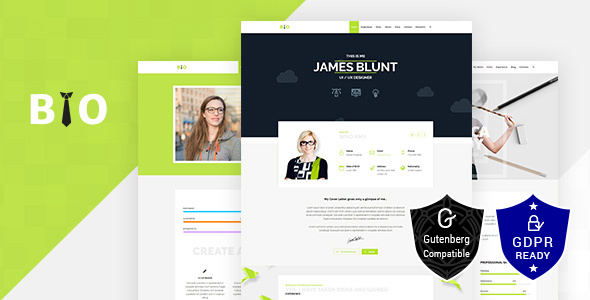 resume cv freelancer wordpress