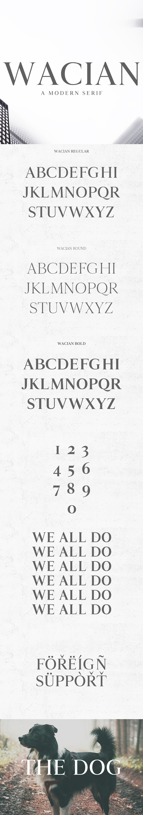 Wacian Serif Font Family - Serif Fonts