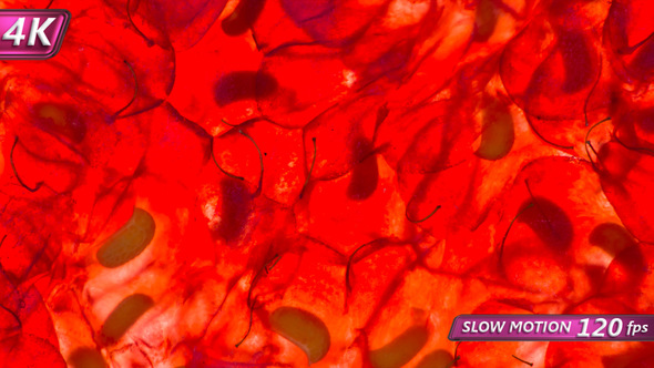 Squeeze Ripe Raspberries alt