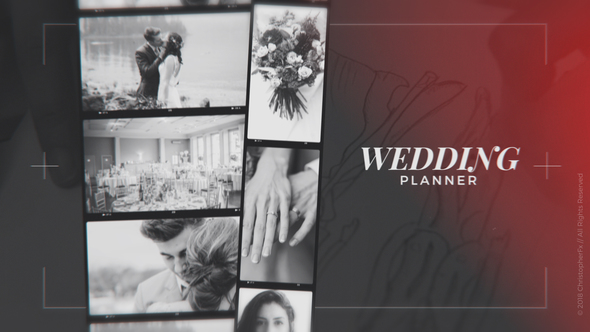 Wedding Planner - VideoHive 22866413