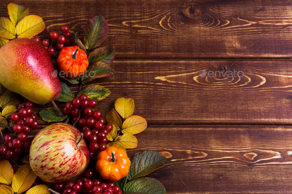 Fall decor with small pumpkins and viburnum - Stock Photo - Images