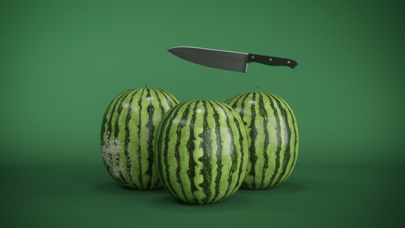 Watermelon Logo Reveal - VideoHive 22881389