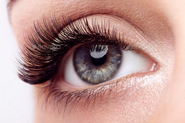 Female eye with long false eyelashes Stock Photo by heckmannoleg ...