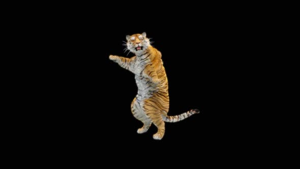 80 Tiger Standing Magic Attack HD alt