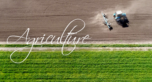 Agriculture