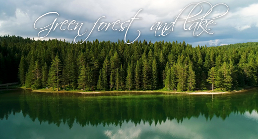 Green forest and lake