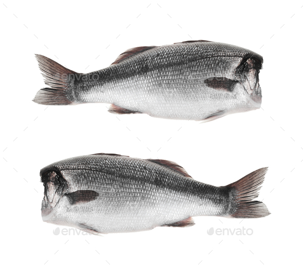 fishes without head on a white background Stock Photo by photobalance