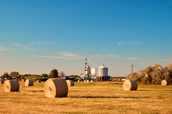 Farmland - Stock Photo - Images