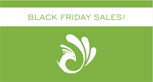 Black Friday Sale!