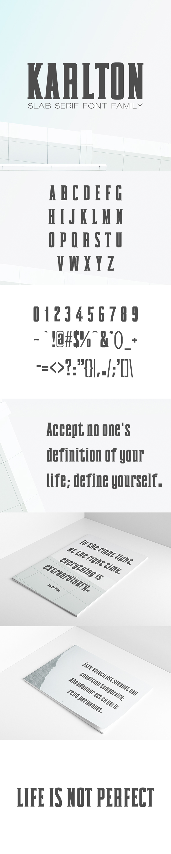 Karlton Slab Serif Font Family - Sans-Serif Fonts