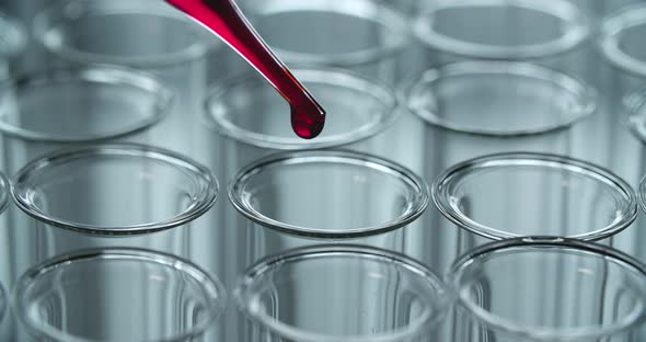 Blood Drops In A Clear Lab alt