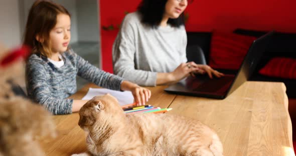 Mother working in her home office on a laptop, daughter sits draw, Scottish cat sitting nearby. alt