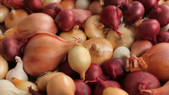 Fly over background of onions and shallots alt