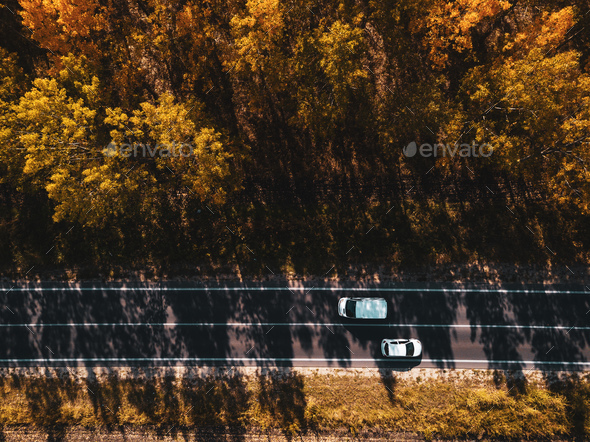 Aerial view of two cars on road through autumn forest