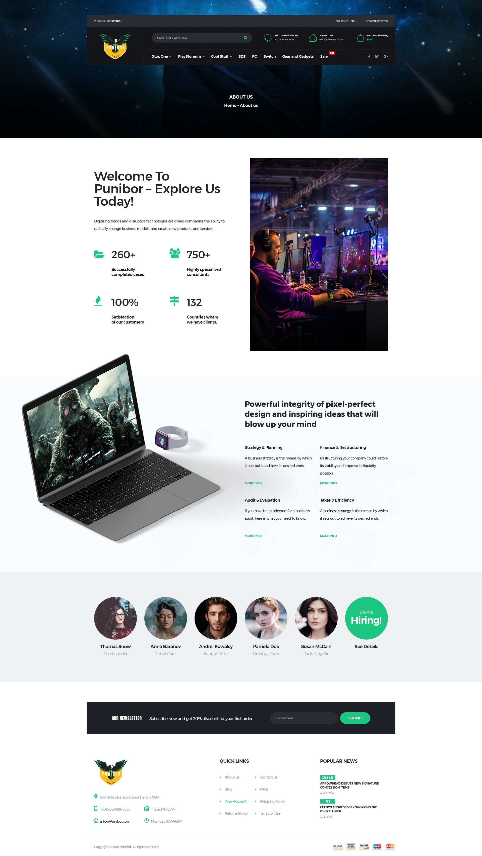 Punibor - Gaming Store HTML Template