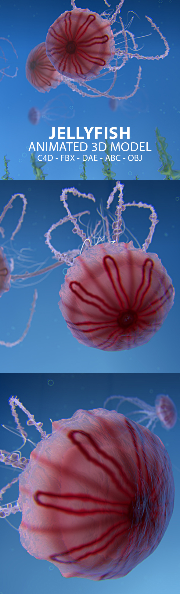Jellyfish Animated 3D - 3Docean 22960964