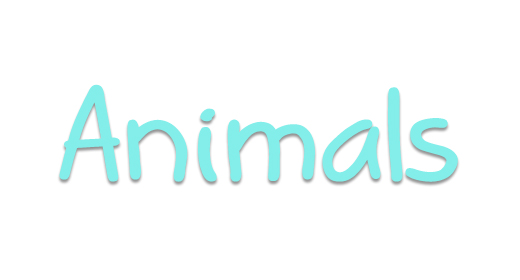 Animals