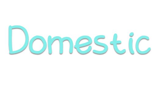 Domestic