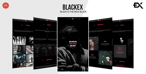 Blackex - Photography - ThemeForest 22923445