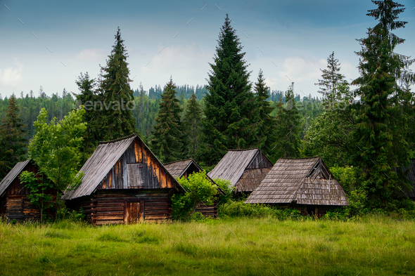 Old Log Cabin In The Forest Stock Photo By Linux87 Photodune