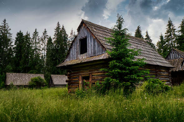 Old Log Cabin In The Forest Stock Photo By Linux87 Photodune