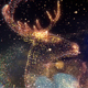 Particle Christmas - VideoHive Item for Sale