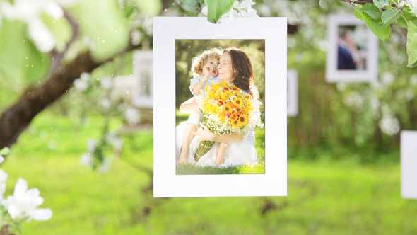 Photo Gallery Blossoms - VideoHive 6353451