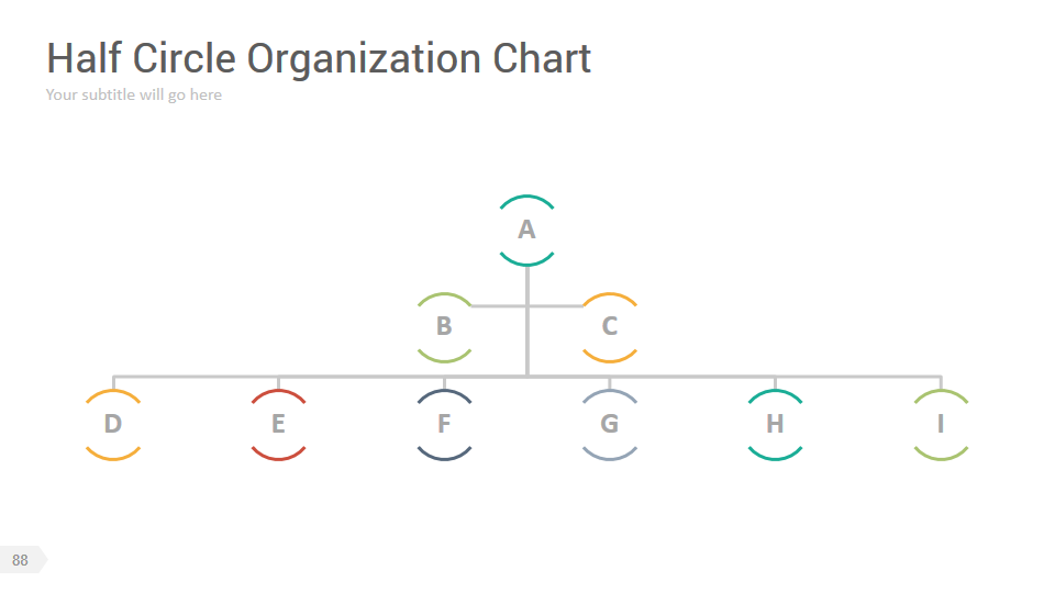 Half Circle Organization Chart