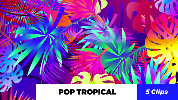 Pop Tropical Loops