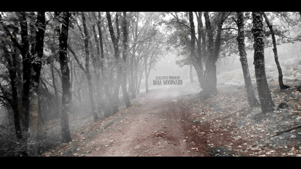 Fairy Misty Forest - VideoHive 22989777