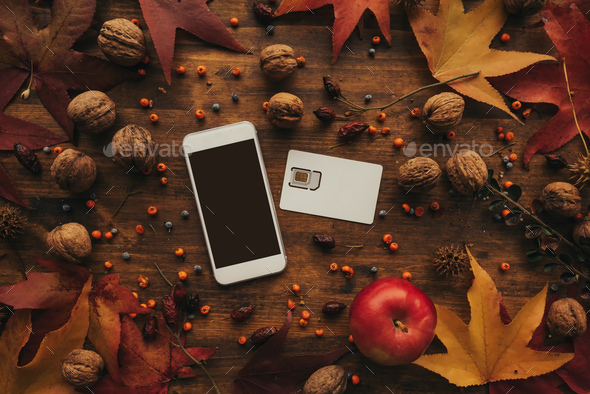 Mobile phone and SIM card with autumn arrangement - Stock Photo - Images