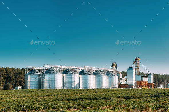 Granary, Grain-drying Complex, Commercial Grain Or Seed Silos In - Stock Photo - Images