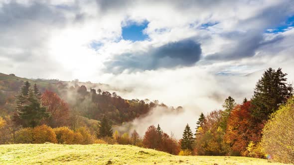 Wonderful Autumn Landscape with Beautiful Blue Sky and Majestic Clouds Forest Sunset Beautiful Fall