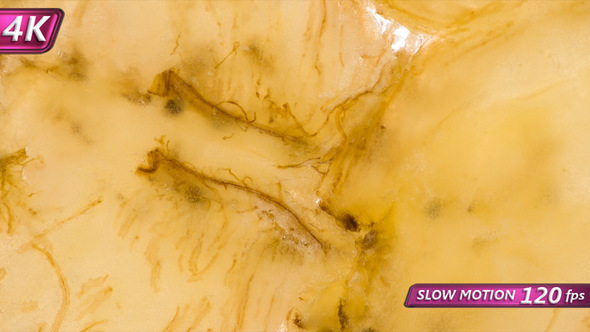 Press Down On The Piece Of Banana alt