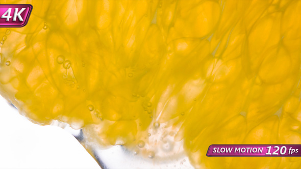 Crush Orange Lobule alt