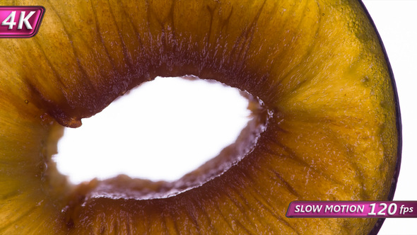 Squeeze A Slice Of Juicy Plum alt