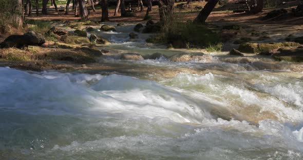 Crystal Water in Forest Mountain River. Deep In The Mountains