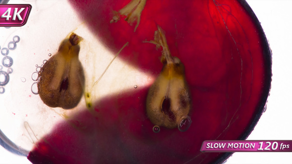 Juice From Crushed Black Grape alt